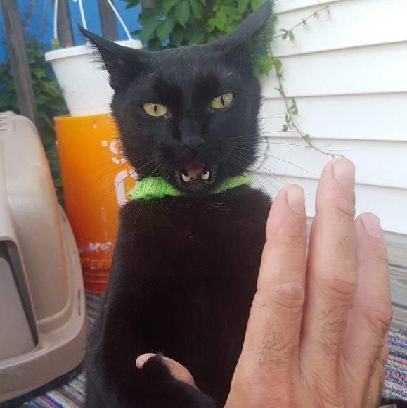 Meet your Posher, R - Picture 3 of 6